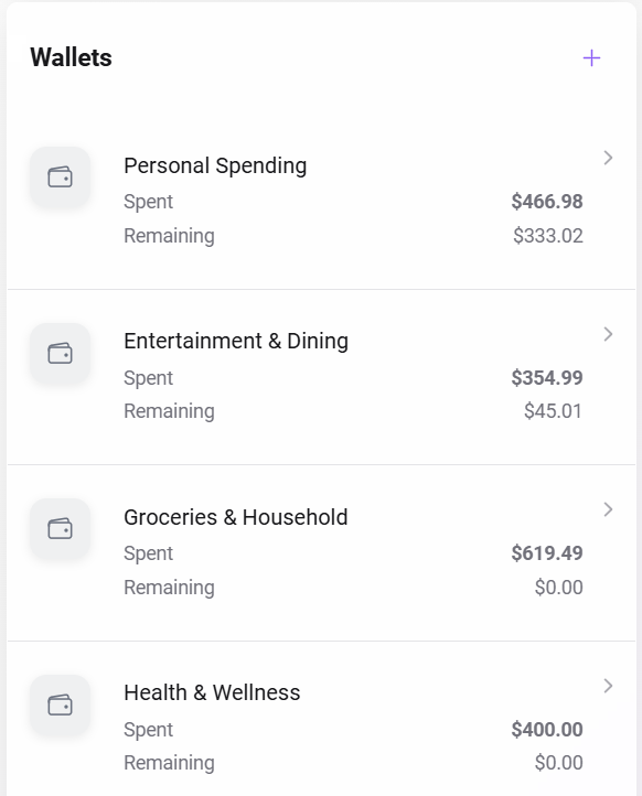 Multiple wallets showing spent and remaining balances